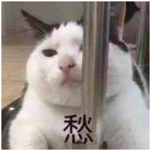 人妻屈辱解开衣扣
